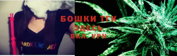 дживик Лабытнанги